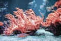 Underwater backround with Living Coral colour. Fish with corals Royalty Free Stock Photo