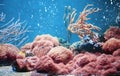 Aquarium life with corals and fishes in trendy Living Coral colour