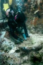 Underwater Archaeologist at work Royalty Free Stock Photo