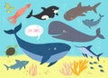 Underwater background with ocena giants. Whale, shark, squid, swordfish, dolphin, ocean turtle, shark. ocra. Undersea