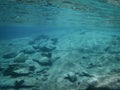 Underwater background, water surface and stony ocean floor