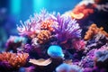 Underwater beautiful colorful dancing reef Anemone group coral tropical animal Anemonefish nature salt water fish tank Royalty Free Stock Photo