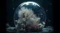 Underwater Beauty: Captivating Coral and Glittering Spheres in Ultra HD Globe