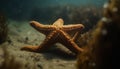 Underwater beauty starfish, fish, reef, sea life generated by AI