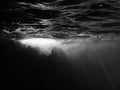 Underwater Black and White Surface Bubbles and Reef