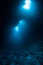 Underwater Blue Holes in Palau Royalty Free Stock Photo