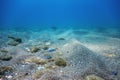 Underwater Blue Ocean, Sandy sea bottom Underwater background Royalty Free Stock Photo