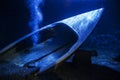 Underwater boat in an aquarium at the Mystic Aquarium in Mystic Connecticut