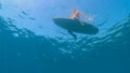 UNDERWATER: Unrecognizable girl on active summer vacation sits on a surfboard. Royalty Free Stock Photo