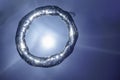 Underwater Bubble Ring Ascends towards the Sun