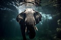 Underwater capture of an elephant swimming, animal documentary, Generated AI Royalty Free Stock Photo