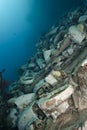 Underwater cargo remains of a shipwreck. Royalty Free Stock Photo