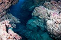 Underwater cave on the reef Royalty Free Stock Photo