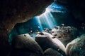 Underwater cave with sunrays school of fish in ocean
