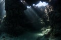 Underwater Cavern Royalty Free Stock Photo