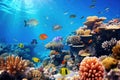 Underwater with colorful sea life fishes and plant at seabed background, Colorful Coral reef landscape in the deep of ocean. Royalty Free Stock Photo