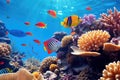 Underwater with colorful sea life fishes and plant at seabed background, Colorful Coral reef landscape in the deep of ocean. Royalty Free Stock Photo