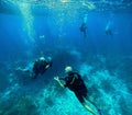 underwater communication during scuba diving session in caribbean sea Royalty Free Stock Photo