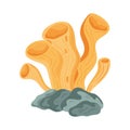 underwater coral marine icon