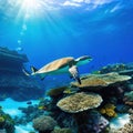 Underwater Coral reef and Animals of the underwater sea Colorful tropical Life in coral