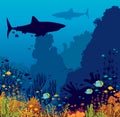 Underwater coral reef, fishes, shark and sea.