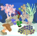 Underwater coral reef