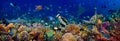 Underwater Coral Reef Landscape Wide 3to1 Panorama Background  In The Deep Blue Ocean With Colorful Fish Sea Turtle Marine Wild