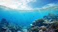 underwater coral reef seabed view with horizon and water surface and blue sky