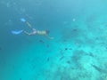 UNDERWATER: Curious male snorkeler dives with tropical fish and stingrays.