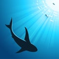 Underwater deep sea background with diver and shark Royalty Free Stock Photo