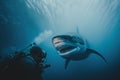 underwater diver photographing a great white shark Generative AI Royalty Free Stock Photo