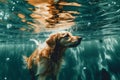 pool dog funny vacation underwater fun water swimming puppy snorkeling. Generative AI. Royalty Free Stock Photo