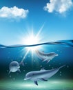 Underwater dolphin. Ocean kind swimming big fishes dolphins playing sea life decent vector realistic background marine