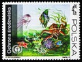 Underwater fauna and flora, Protection of the environment serie, circa 1973