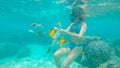 UNDERWATER: Female snorkeler in turquoise bikini feeds a group of exotic fish.