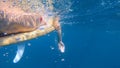 UNDERWATER: Female tourist lies on a wooden surfboard and paddles out to line up