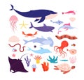 Underwater fish and animals. Cute sea animal, dolphin and jellyfish, octopus and starfish. Cartoon marine life isolated