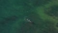Underwater fishing Aerial view scuba diver spearfishing in shallow sea water