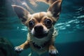 Underwater funny photo of a chihuahua, dive deep down. Summer vacation with pet. Generative AI