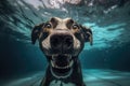 Underwater funny photo of dog, dive deep down. Summer vacation with pet. Closeup underwater photo of a dog. Generative