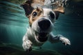 Underwater funny photo of jack russel terrier. Summer vacation with pet. Generative AI illustration