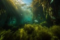 underwater garden with schools of fish swimming among the kelp fronds