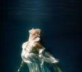 Underwater girl in swimming pool Royalty Free Stock Photo