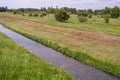 Underwater Grass, Long Seaweed in Dark River Water, Overgrown Stream with Algae, Grass Waving in Water Royalty Free Stock Photo