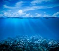 Underwater with horizon and water surface Royalty Free Stock Photo