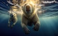 underwater image of polar bears swimming Royalty Free Stock Photo