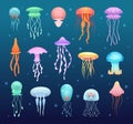 Underwater jellyfish. Beautiful magic water jelly swimming animals vector collection Royalty Free Stock Photo