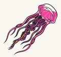 Underwater jellyfish colorful detailed emblem Royalty Free Stock Photo