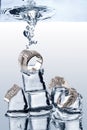 Underwater Jewelery Royalty Free Stock Photo