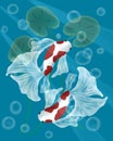 Underwater koi fish illustrations drawing